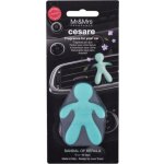 Mr&Mrs Fragrance Cesare Sandal of Kerala | Zboží Auto