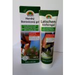 Sunlife horský borovicový gel 100 g – Zboží Dáma