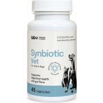 LAB-V Synbiotic Vet podpora zdraví trávicího traktu a střevní mikroflóry pro psy a kočky 45 kapslí – Hledejceny.cz