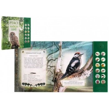 Ptáci našich lesů - zvuková knížka - Pinningtonová Andrea, Buckingham Caz