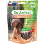 Petr Větvinský Pochoutka Dr. Animal Sportline losos 100g