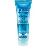 Delice Solaire Ice gel po opalování 250 ml – Hledejceny.cz