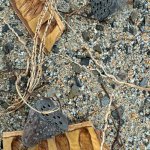 Me Nature World Habitat Marsh 3 kg – Zboží Dáma