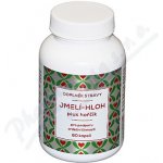 Naturvita Jmelí Hloh plus Hořčík 60 kapslí – Hledejceny.cz