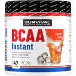 Survival BCAA Instant 300 g – Zboží Dáma