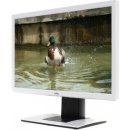 Monitor Fujitsu B22W-5