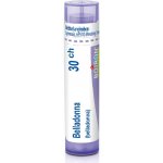 BELLADONNA POR 30CH GRA 4G – Hledejceny.cz