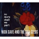 CAVE NICK & THE BAD SEEDS - DIGLAZARUS,DIG – Hledejceny.cz