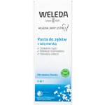 Weleda Dental Care s mořskou solí 75 ml – Hledejceny.cz