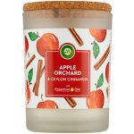 Air Wick Essentials Oils Apple Orchard & Ceylon Cinnamon 185 g – Hledejceny.cz