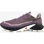 Salomon Alphacross 5 GTX W L47311000 moonscape/black/white – Zboží Dáma