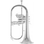 Roy Benson Bb FH 302S Pro Serie postříbřená – Zboží Dáma