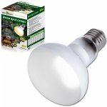 Repti Zoo Beam Spot 60 W – Zboží Dáma