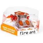 Hexbug Ohnivý mravenec červená – Zboží Dáma