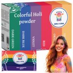 ISO 10564 Holi barevný prášek 10x100 g color – Zboží Dáma