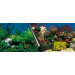 Europet Bernina Photo Decor Stone + Coral 60 x 30 cm – Zboží Dáma