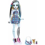 Mattel - Monster High Frankie Stein s protézou – Hledejceny.cz