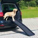 Trixie PET RAMP protiskluzová rampa max. zátěž 90 kg 40 x 156 cm – Zbozi.Blesk.cz