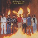 Lynyrd Skynyrd - Street Survivors CD – Hledejceny.cz