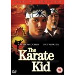 The Karate Kid DVD – Hledejceny.cz