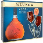 Meukow cognac VSOP 40% 0,7 l (holá láhev) – Zboží Dáma