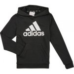 Big Logo Essentials Hoody Jr HR6380 – Zboží Dáma