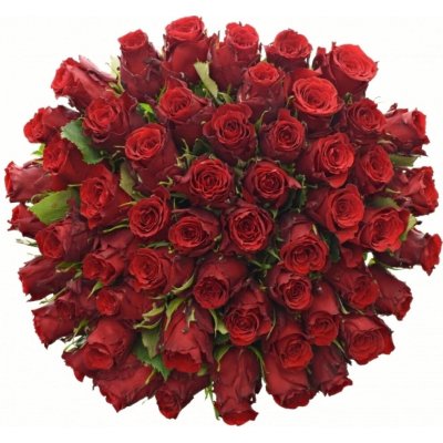 Kytice 55 rudých růží RED TORCH 50 cm – Zboží Dáma