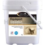 Horse Master Equisport Gestation 25 kg – Hledejceny.cz