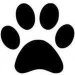 Tlapka plastová šablona 002 B 14,5x14,5cm – Hledejceny.cz