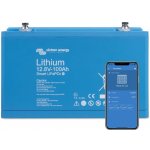Victron Energy BAT512110610 12,8V 100Ah – Zboží Živě