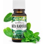 Saloos esenciální olej Máta kadeřavá 20 ml – Hledejceny.cz