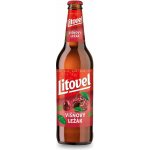 Litovel 11 Višňový ležák 4,1 % 0,5 l (sklo) – Sleviste.cz