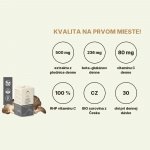 Hrotlife Hlíva Ústřičná s Vitamínem C 60 kapslí – Hledejceny.cz