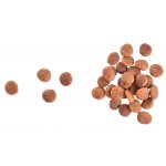 Brit Care Cat Grain-Free Large cats Power & Vitality 2 kg – Zboží Dáma