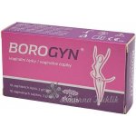 Borogyn vaginální čípky 10 x 2 g – Zbozi.Blesk.cz