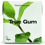 True gum máta 21 g – Zboží Mobilmania