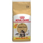 Royal Canin Maine Coon Adult 12 kg – Zboží Mobilmania