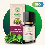Ekolife Natura Oil of Origanum 10 ml – Hledejceny.cz