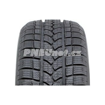 Taurus Winter 601 225/45 R17 94V