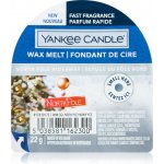 Yankee Candle vonný vosk North Pole Hideaway 22 g – Zboží Dáma
