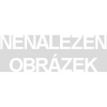 Bburago F1 Mercedes AMG Petronas assort 1:43 – Hledejceny.cz