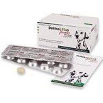 Dehinel Plus Flavour 100 tbl – HobbyKompas.cz