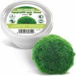 Macenauer Aegagrophila spec. Linnaei M 4-5 cm – Zboží Mobilmania