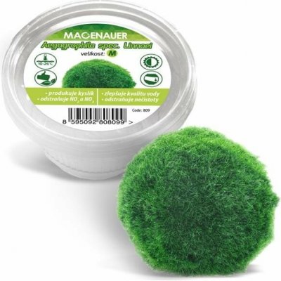 Macenauer Aegagrophila spec. Linnaei M 4-5 cm – Zboží Mobilmania