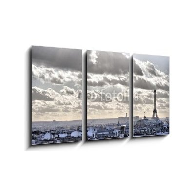 Obraz 3D třídílný - 90 x 50 cm - Vue depuis les toits de Paris - Tour Eiffel Vůdní depuis les toits de Paris – Hledejceny.cz