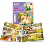 Albi Kouzelné čtení kniha Koně a jednorožci – Hledejceny.cz