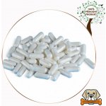 Boswellia serrata kapsle 550mg - 150 ks – Hledejceny.cz