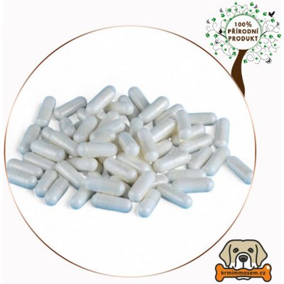 Boswellia serrata kapsle 550mg - 150 ks – Hledejceny.cz