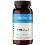 Bioherba Tribulus 250 mg 100 kapslí – Hledejceny.cz