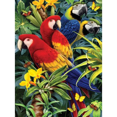 Royal Langnickel Malování podle čísel 22 x 30 cm Vznešení papoušci – Sleviste.cz